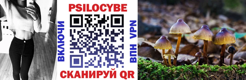 блэк спрут ссылка  Ликино-Дулёво  Галлюциногенные грибы Psilocybe 